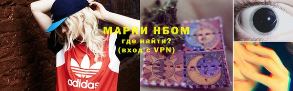 PSILOCYBIN Новозыбков