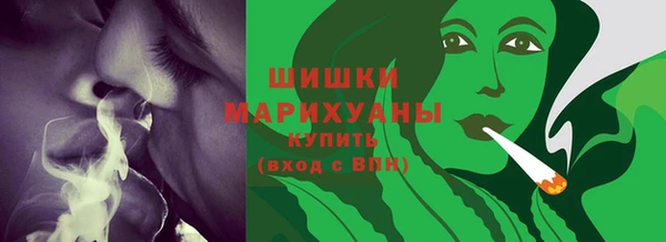 PSILOCYBIN Новозыбков