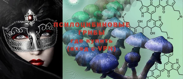 PSILOCYBIN Новозыбков