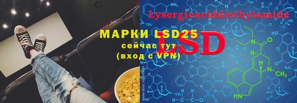 PSILOCYBIN Новозыбков