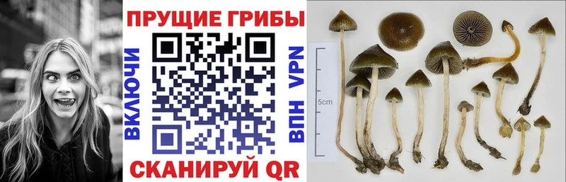 Галлюциногенные грибы ЛСД  купить  сайты  Монино 